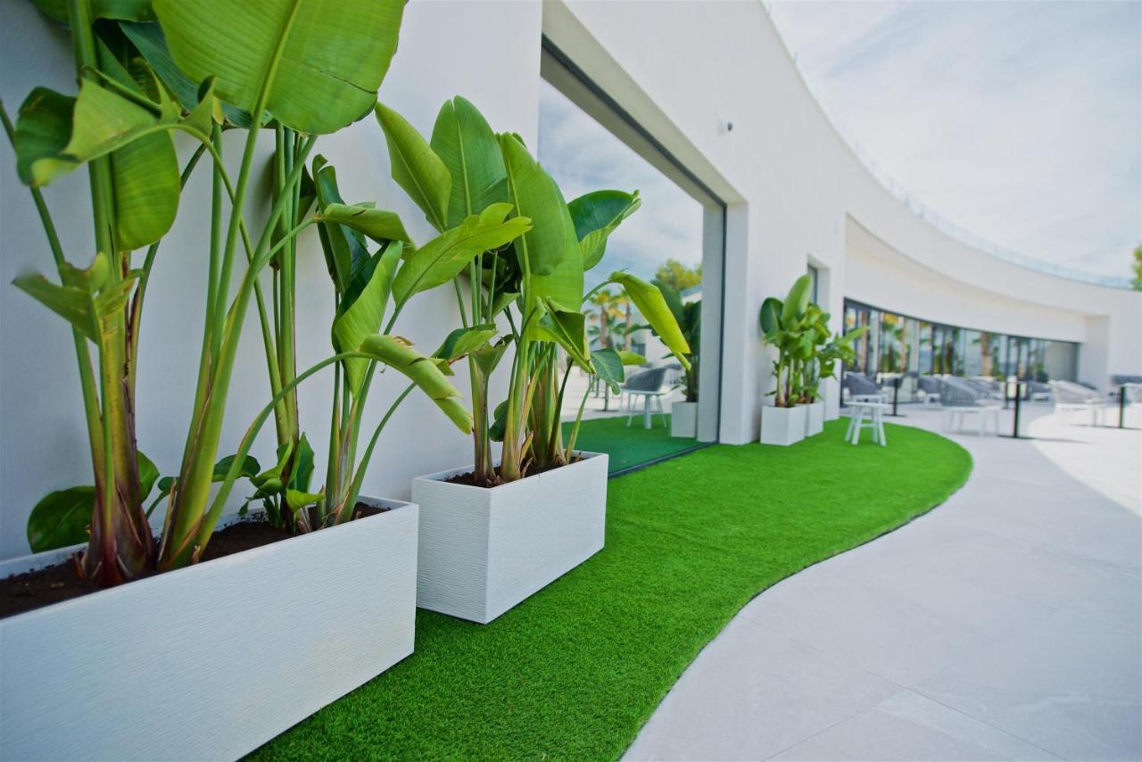 Syncrosfera Fitness & Spa Health Hotel Boutique Pedreguer Exterior photo